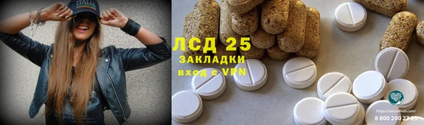 мескалин Бородино