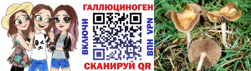Галлюциногенные грибы Psilocybine cubensis  Ува 